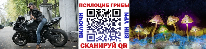 наркота  Кашира  Галлюциногенные грибы Psilocybe 